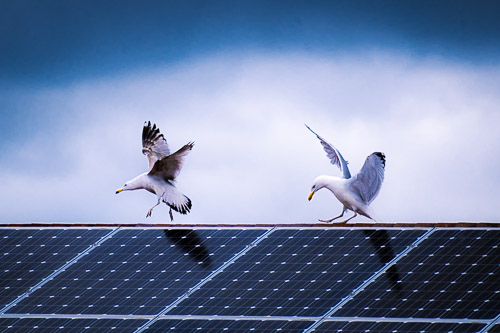 Boothbay Harbor, ME - May 2025